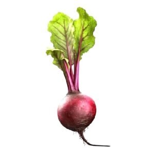 Rathu ala | Beet Root 1 Kg | රතුඅල