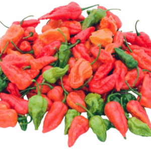 Nai Kochchi | නයි කොච්චි 100g | Frozen