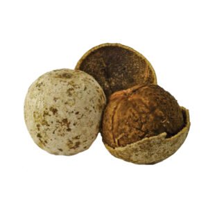 Wood Apple